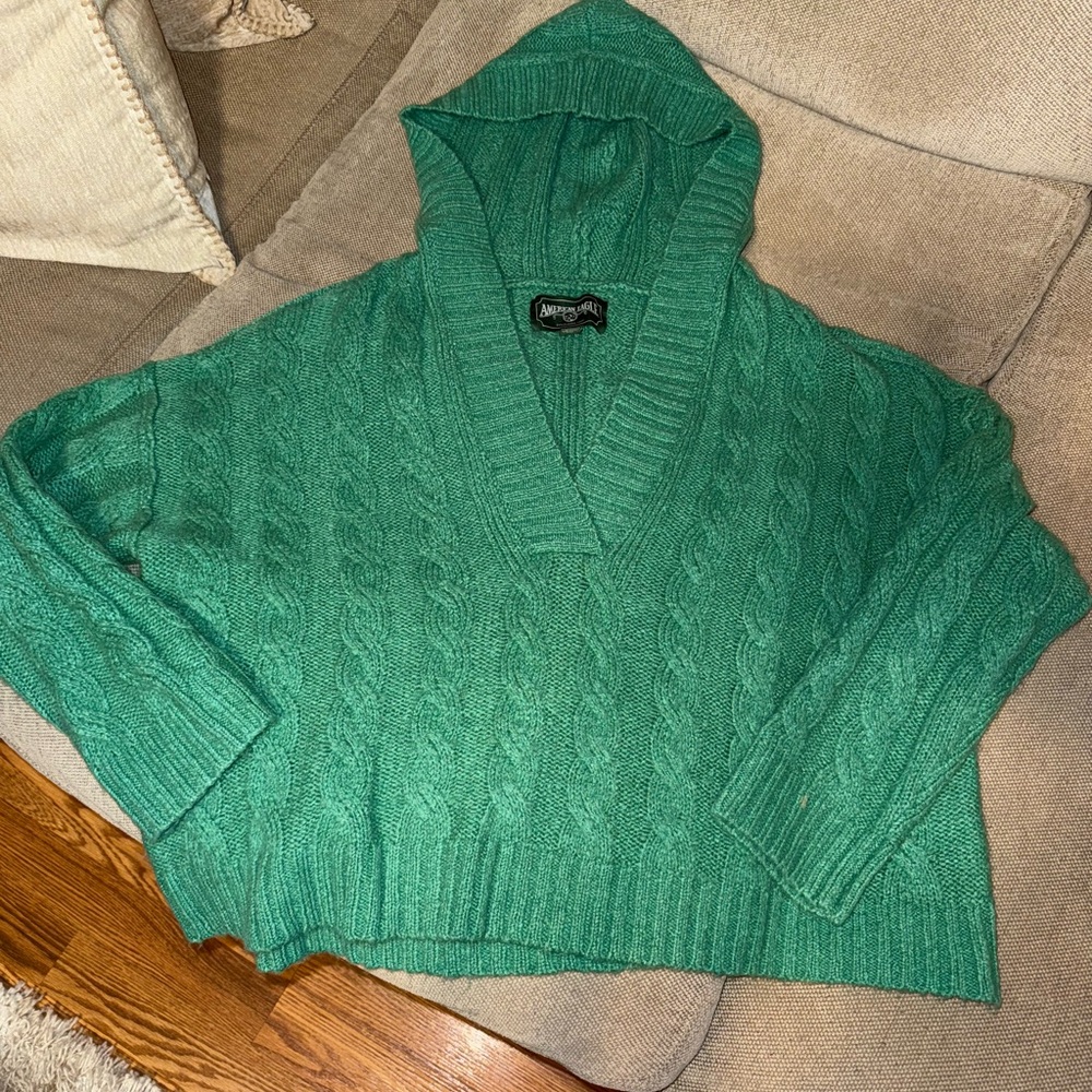 American Eagle Outfitters Green V-Neck Sweater